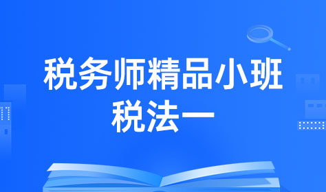税务师精品小班-税法一